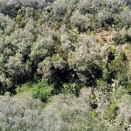 Lejlighed Casa Angelo